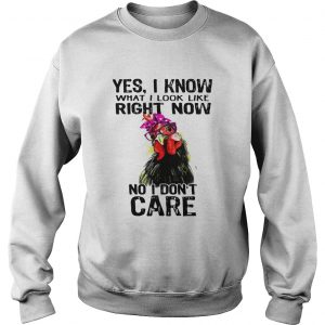 Hen yes I know what I look like right now no I dont care Sweatshirt