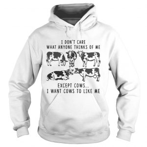I Dont Care What Anyone Thinks Of Me Funny Gift Hoodie