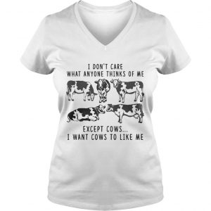 I Dont Care What Anyone Thinks Of Me Funny Gift Ladies Vneck
