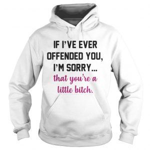 If Ive ever offended you Im sorry that youre a little bitch Hoodie