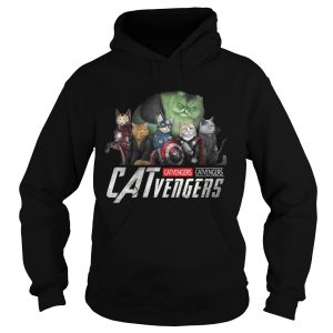 Marvel Catvengers avengers end game hoodie