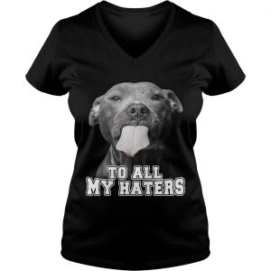 Pitbull to all my haters Ladies Vneck