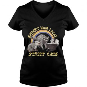 Support your local street cats Ladies Vneck