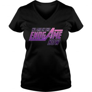 Official We Are In The Endgame Now Ladies Vneck
