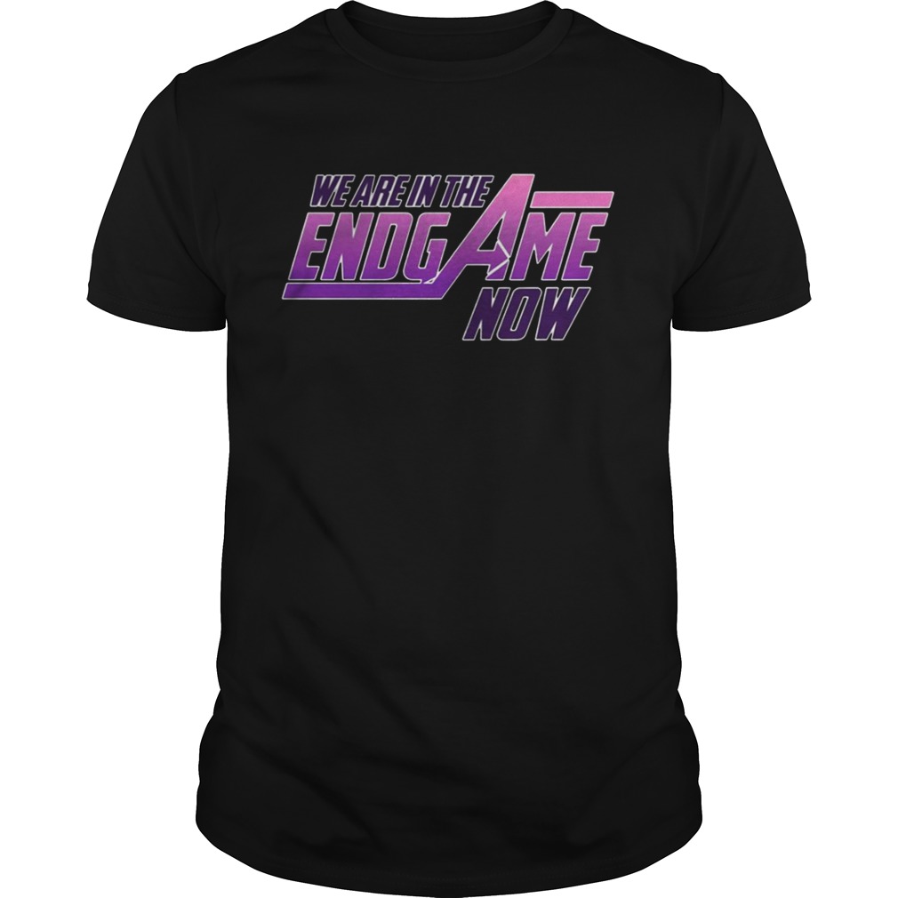 We Are In The Endgame Now shirt