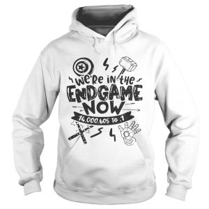 Were in the Endgame now Hoodie