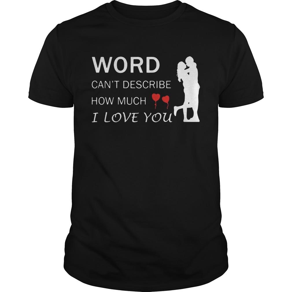 Words can’t describe how much I love You shirt