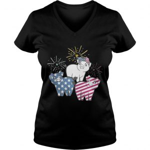 American Flag Pigs For Independence Day Funny Ladies Vneck