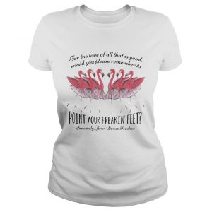 Ballet flamingo for the love of all that is good sincerely your dance teacher Ladies Tee