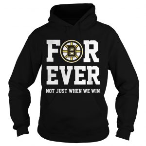 Boston Bruins for ever not just when we win Hoodie