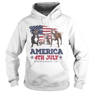 Cool Pit Bull America 4th July Independence Day Hoodie
