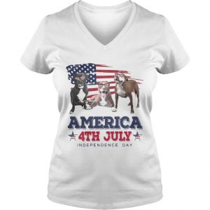 Cool Pit Bull America 4th July Independence Day Ladies Vneck
