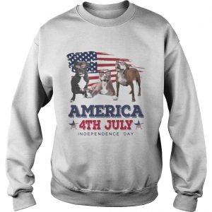 Cool Pit Bull America 4th July Independence Day Sweatshirt