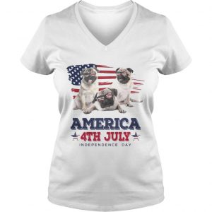 Cool Pug America 4th July Independence Day Ladies Vneck