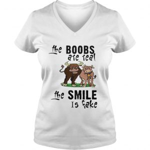 Cow The boobs are real the smile is fake Ladies Vneck