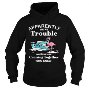 Flamingo apparently were trouble when we are cruising together who knew Hoodie