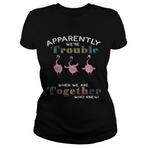 Flamingo apparently were trouble when we are together who knew Ladies Tee