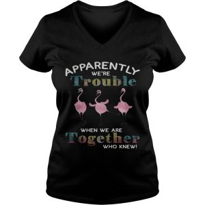 Flamingo apparently were trouble when we are together who knew Ladies Vneck