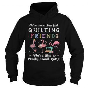 Flamingo were more than just quilting friends were like a really small gang Hoodie