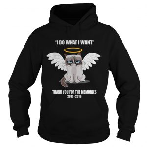 Grumpy cat i do what I want thank you for the memories Hoodie