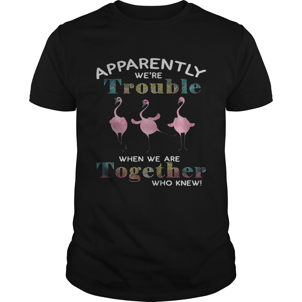 Flamingo apparently we’re trouble when we are together who knew shirt