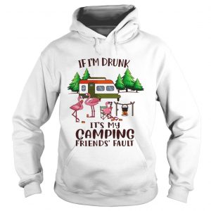 If Im Drunk Its My Camping Friends Fault Hoodie