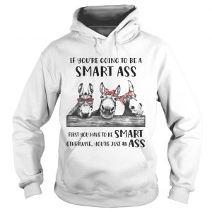 If Youre Going To Be A Smart Ass Donkey Hoodie