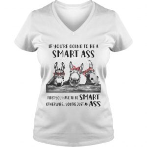 If Youre Going To Be A Smart Ass Donkey Ladies Vneck