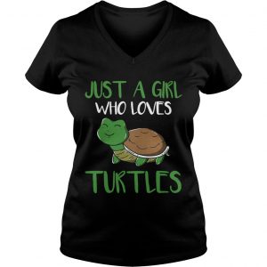 Just a girl who loves turtles Ladies Vneck