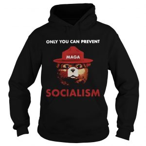 Only you can prevent socialism Hoodie