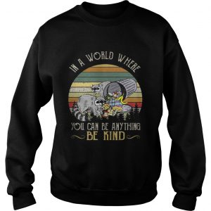 Racoon in a world where you can be anything be kind sunset Sweatshirt