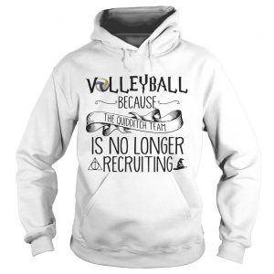 Volleyball Because Quidditch Team Is No Longer Recruiting Hoodie