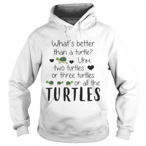 Whats Better Than A Turtle Uhm Two Turtles Or Three Turtles Or All The Turtles Hoodie