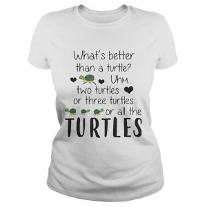 Whats Better Than A Turtle Uhm Two Turtles Or Three Turtles Or All The Turtles Ladies Tee