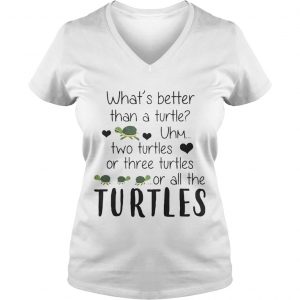Whats Better Than A Turtle Uhm Two Turtles Or Three Turtles Or All The Turtles Ladies Vneck