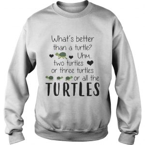 Whats Better Than A Turtle Uhm Two Turtles Or Three Turtles Or All The Turtles Sweatshirt