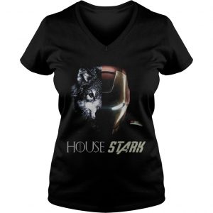 Wolf and Iron Man House Stark Ladies Vneck