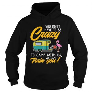 You Dont have to be crary to camp with us we can train you Hoodie