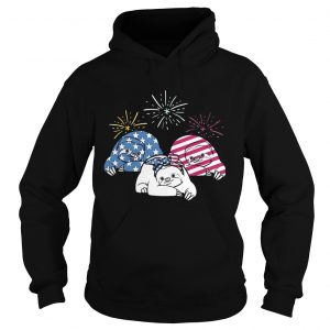 American Flag Sloths For Independence Day Funny Hoodie