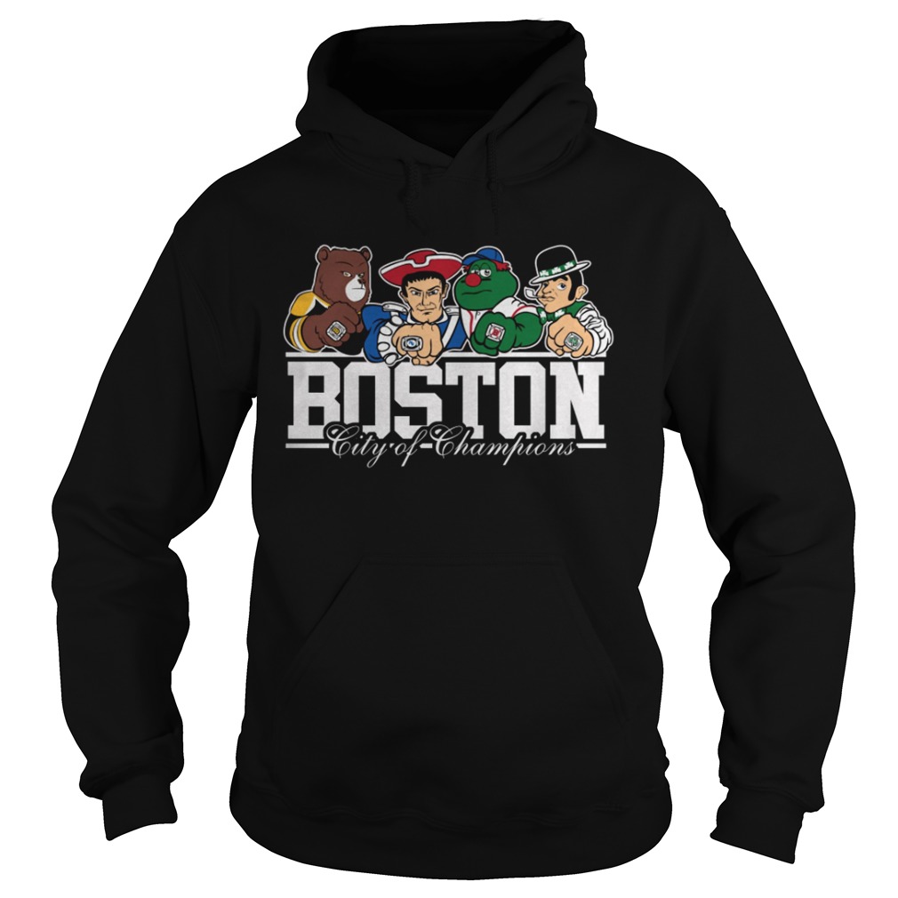 Boston Sports Teams city of champions Hoodie