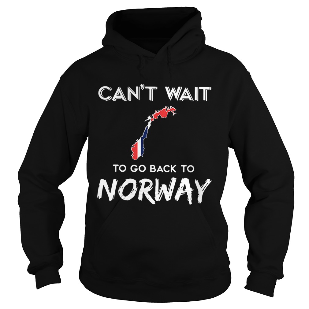 Cant waitto go back to Norway Hoodie