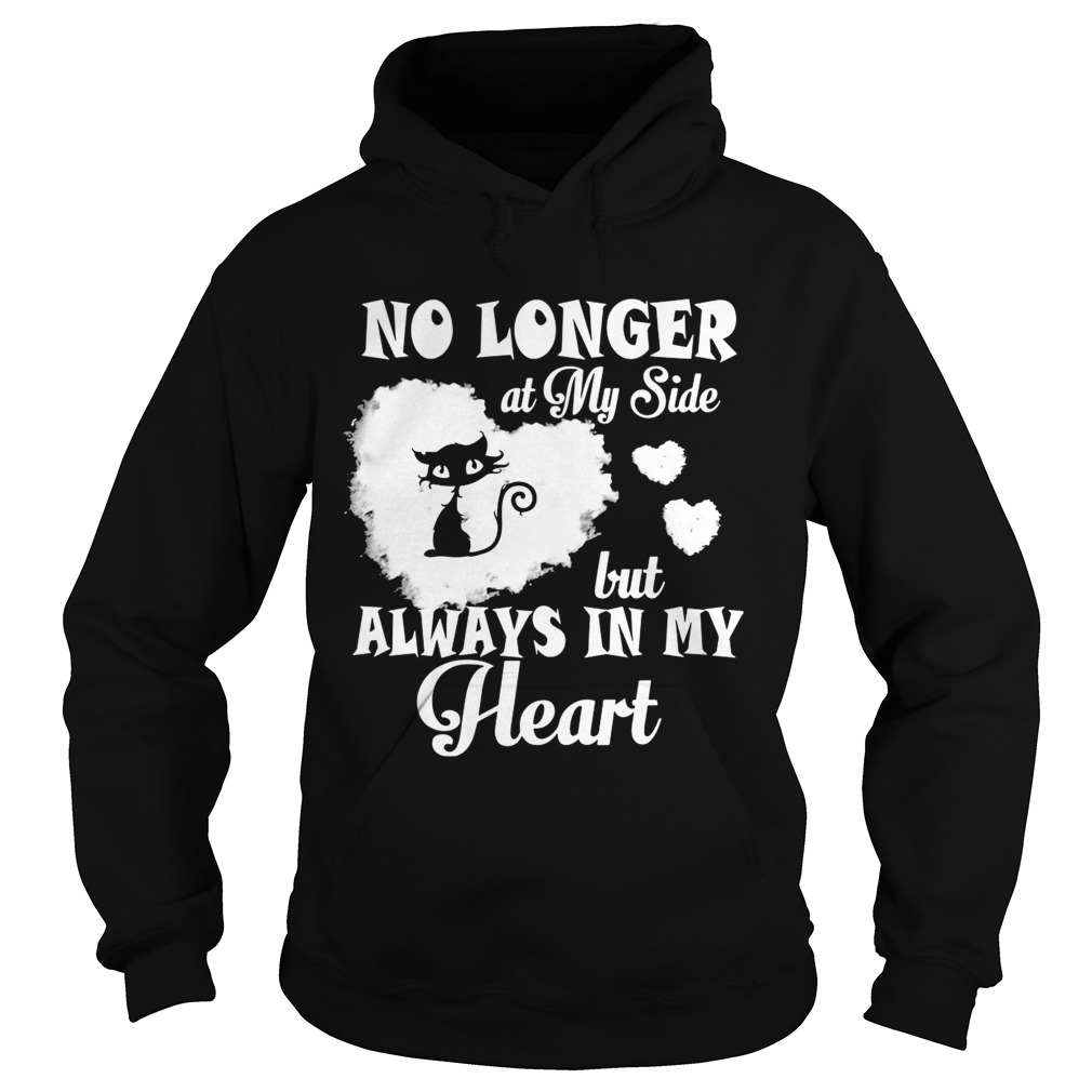 Cat no longer at my side but always in my heart Hoodie