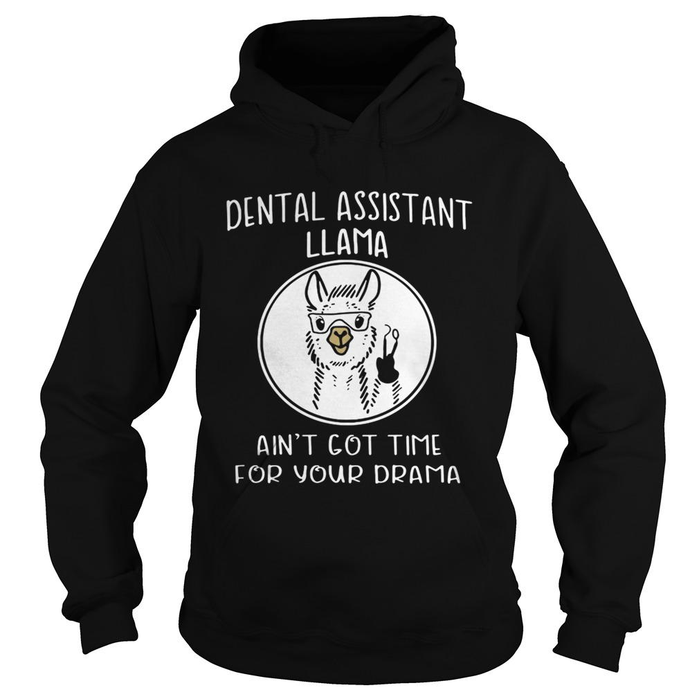 Dental assistant llama aint got time for your drama Hoodie
