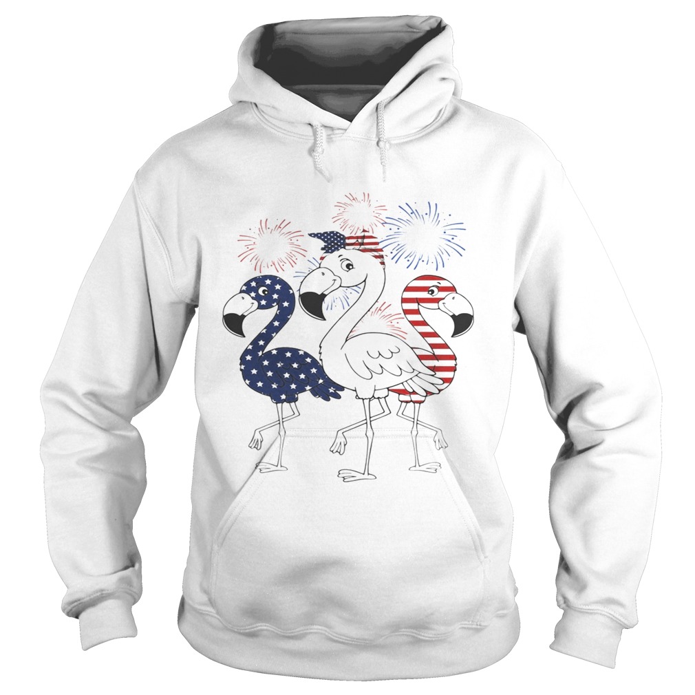 Flamingo 4th of July independence day American flag fireworks Hoodie