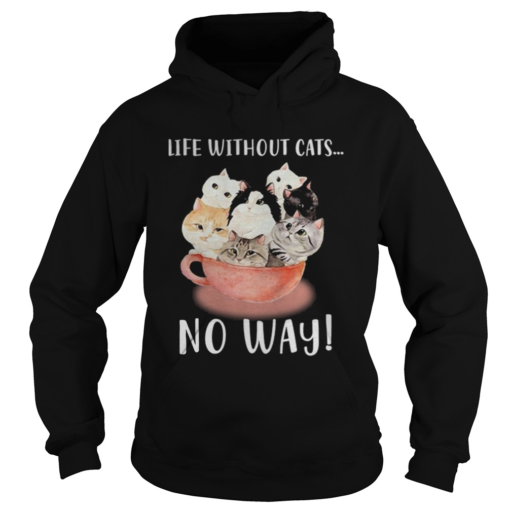 Life without cats no way Hoodie