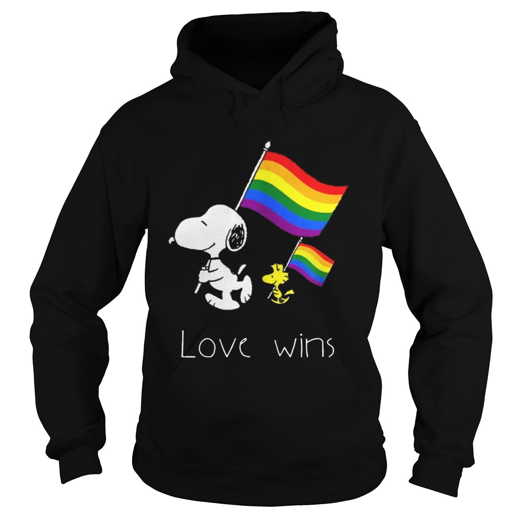 Love Wins LGBT Pride Funny TShirt Hoodie