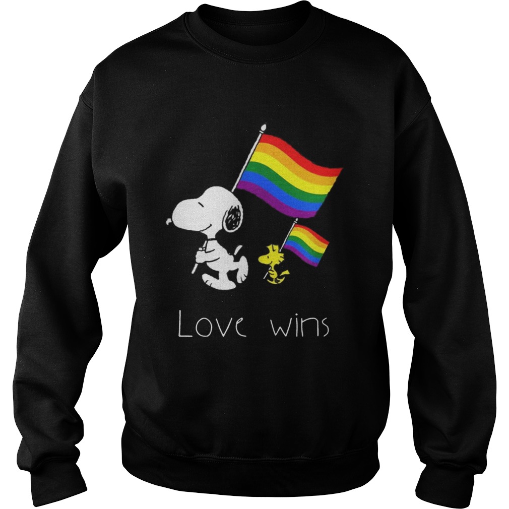 Love Wins LGBT Pride Funny TShirt Sweatshirt
