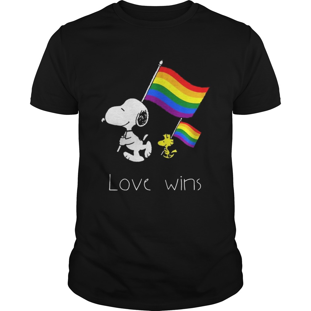 Love Wins LGBT Pride Funny TShirt