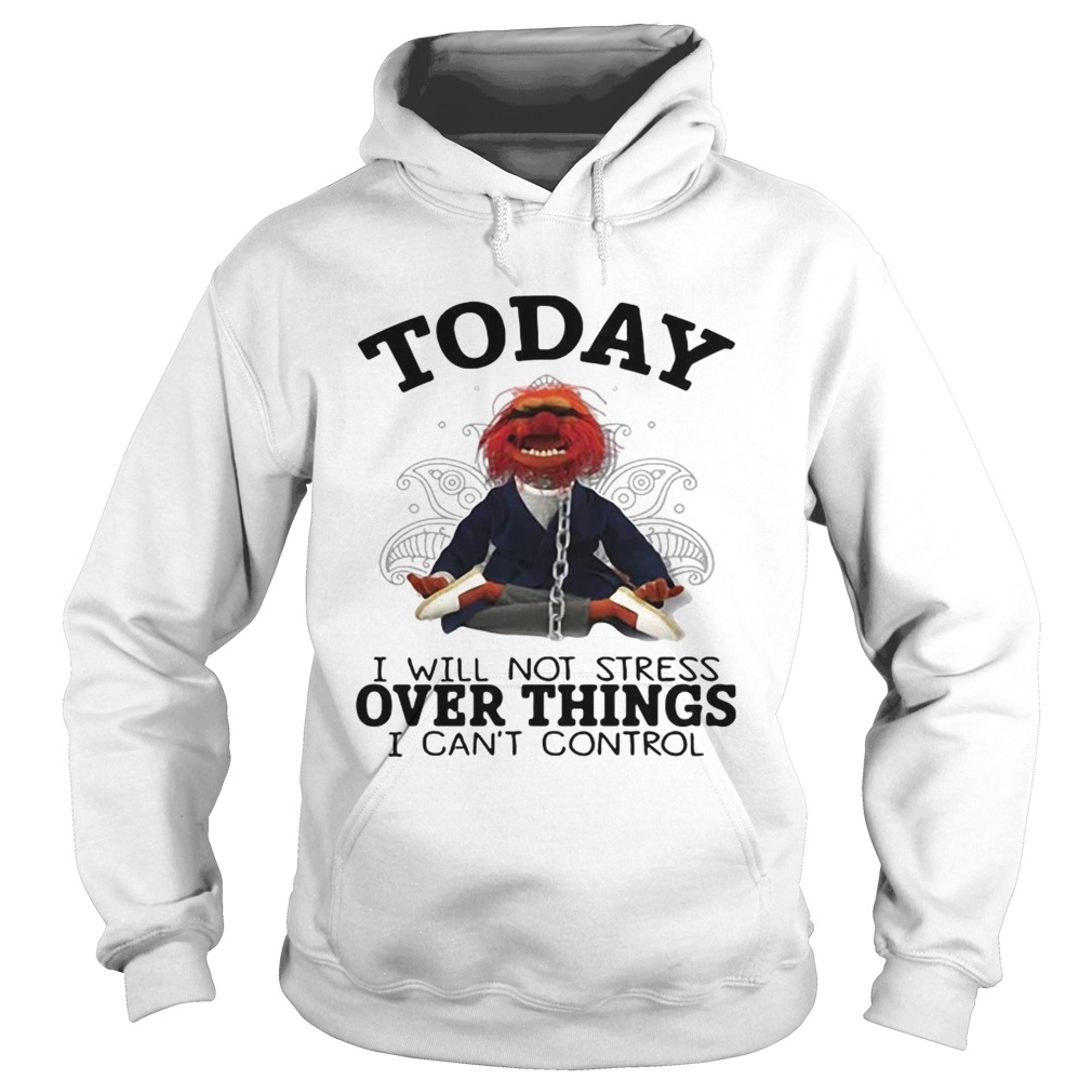 Muppet today I will not stress over things I cant control Hoodie