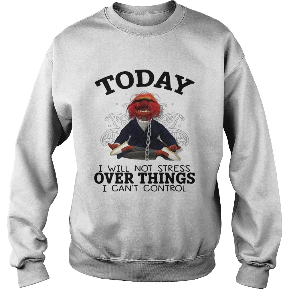 Muppet today I will not stress over things I cant control Sweatshirt